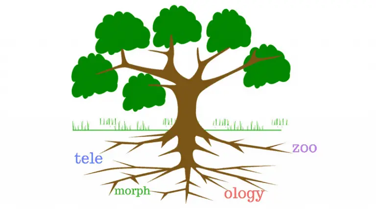 Root Spell How to Spell Better Using the Secrets of Spelling Bee Winners - TCK ...