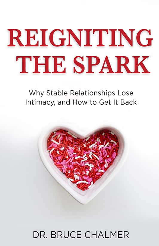 Reigniting the Spark Reigniting the Spark