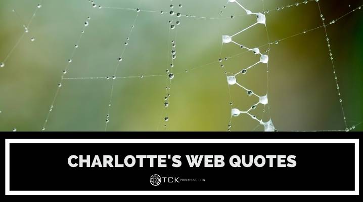 charlotte's web quotes blog post images