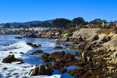 monterey steinbeck town image