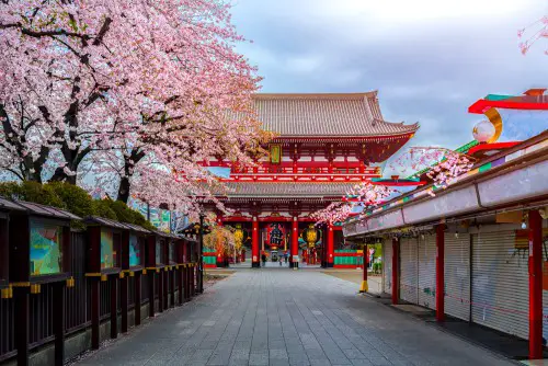 tokyo literary tour image