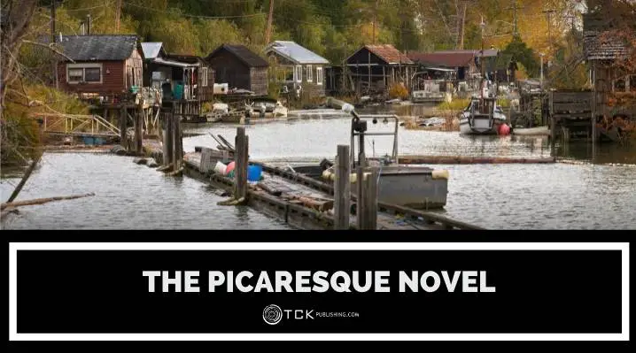 picaresque novel blog post image